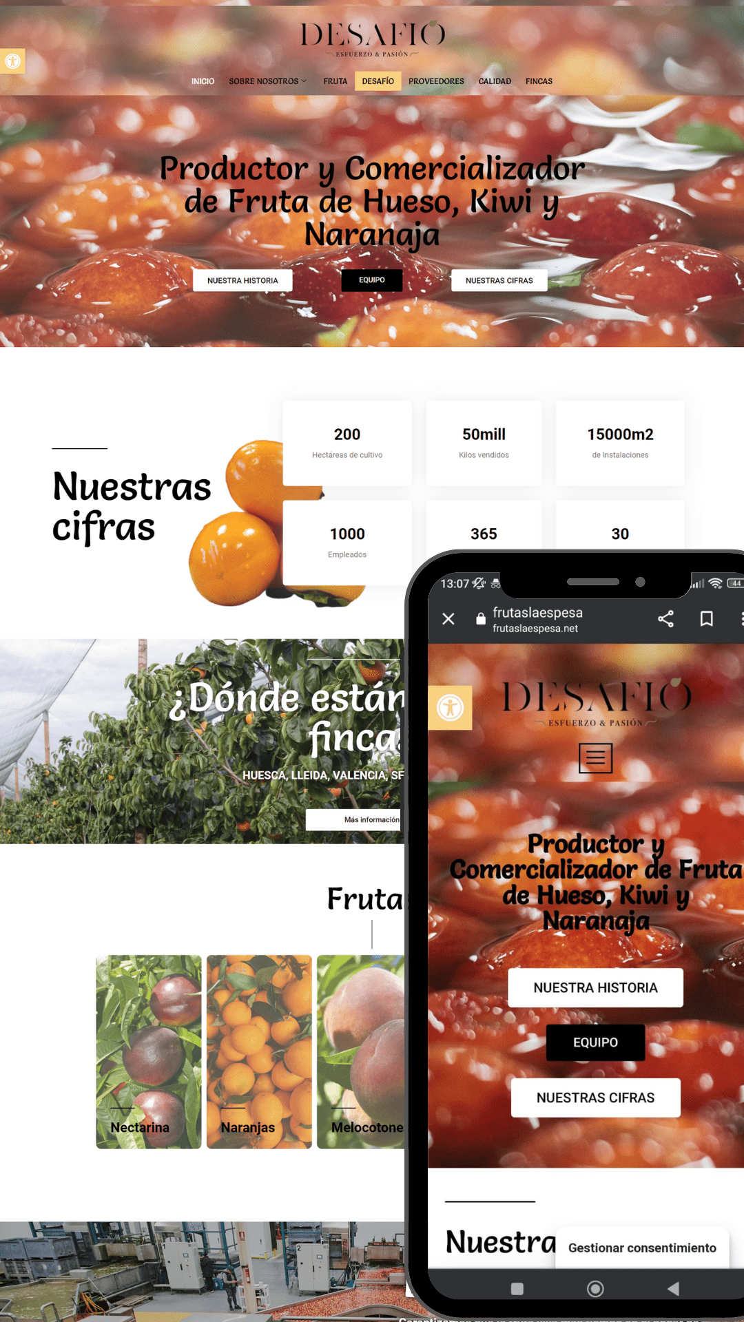Proyecto de diseño y mantenimiento web para Desafío